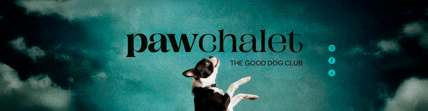 French bulldog standing on its back paws beside the Paw Chalet logo
