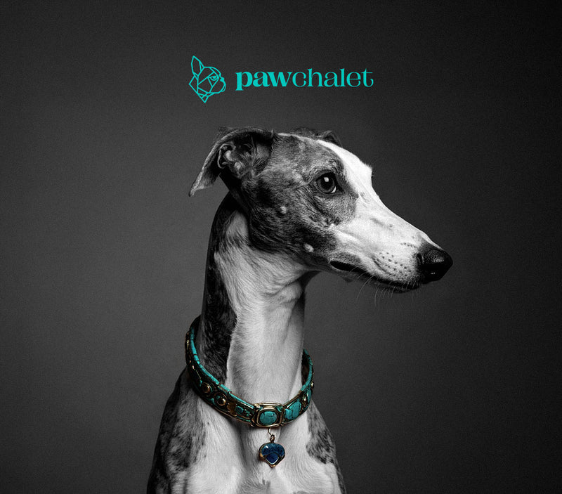 Greyhound portrait with the Paw Chalet logo